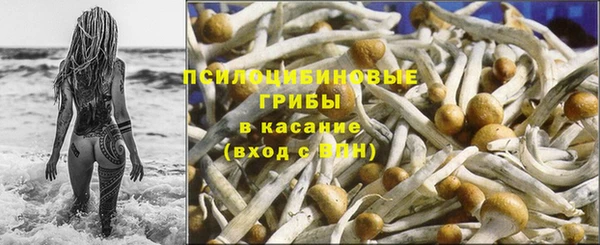 прущие крисы Нягань