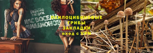 прущие крисы Нягань