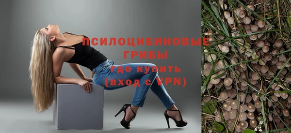 ALPHA PVP Няндома