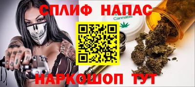 прущие грибы Балаково
