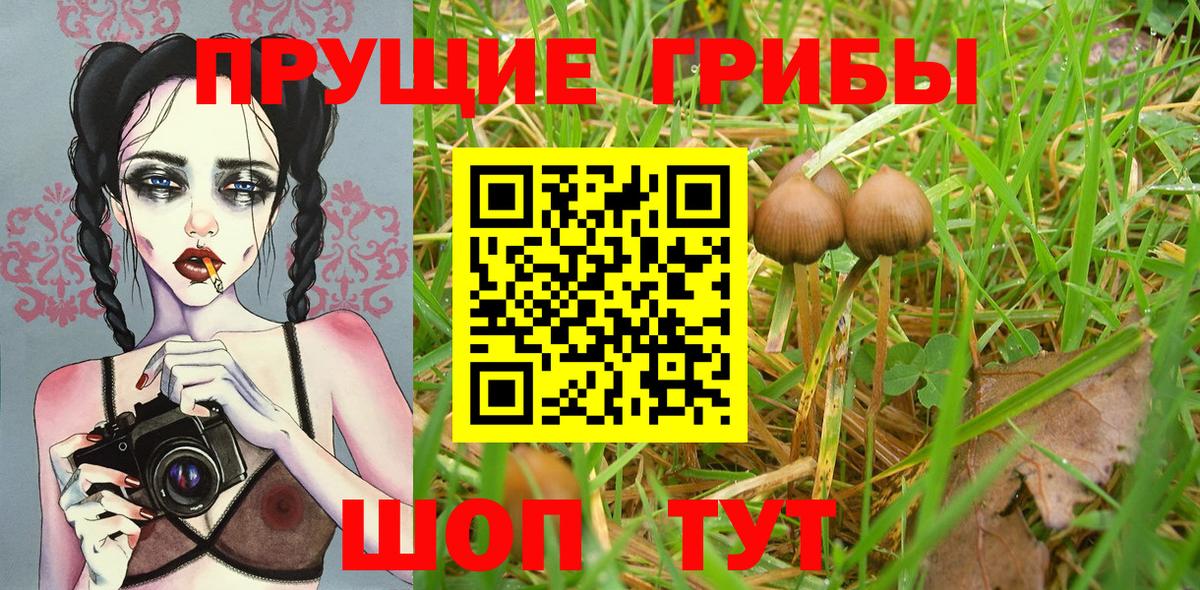 Псилоцибиновые грибы мухоморы Ноябрьск