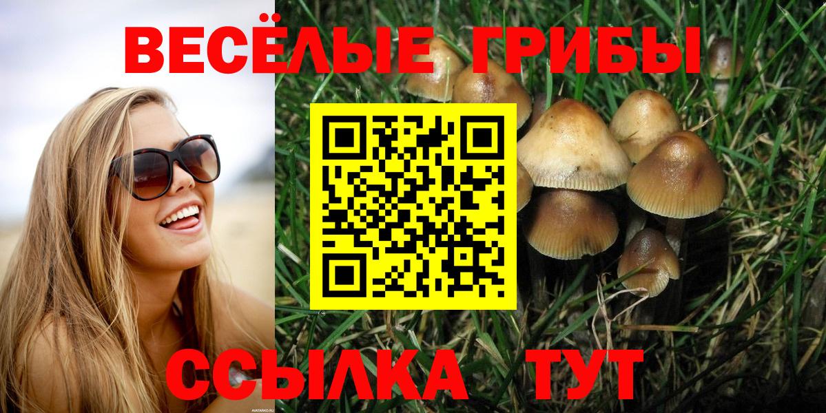 Псилоцибиновые грибы MAGIC MUSHROOMS Ноябрьск