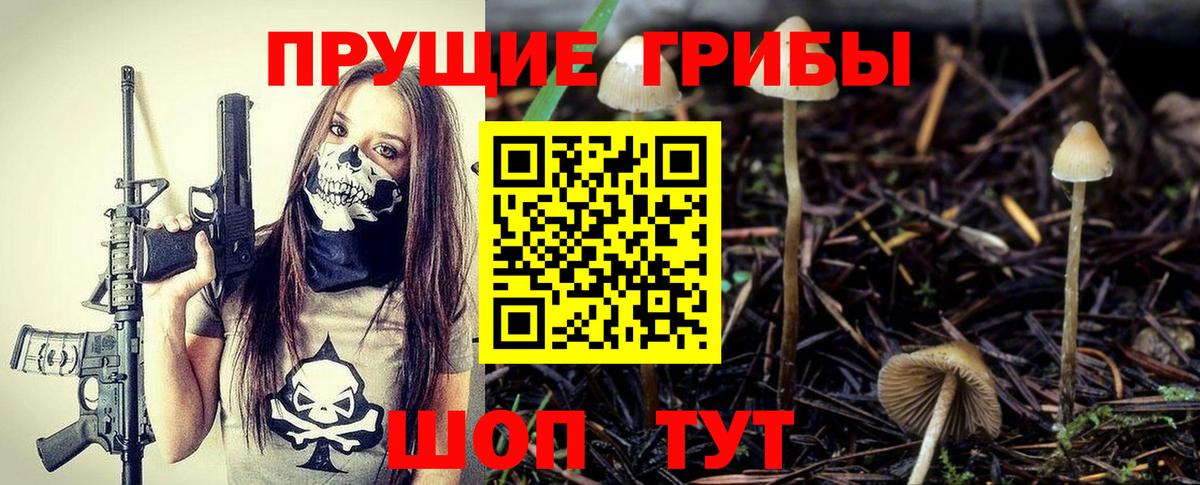 Ноябрьск  Псилоцибиновые грибы GOLDEN TEACHER  Псилоцибиновые грибы мицелий  закладка  Вход с VPN 