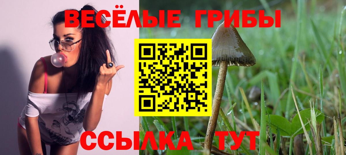 Псилоцибиновые грибы ЛСД  Ноябрьск  Псилоцибиновые грибы Psilocybine cubensis 